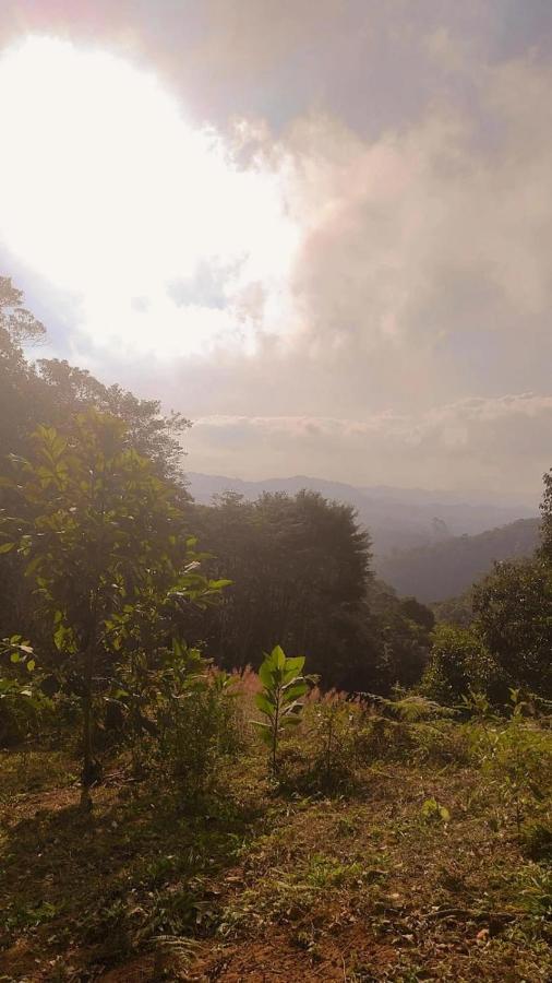 Sitio Recanto Do Ipe Holiday home Domingos Martins