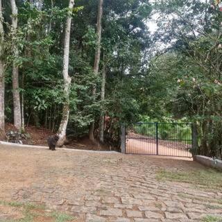 Sitio Recanto Do Ipe Domingos Martins