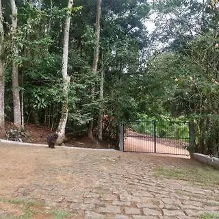 Sitio Recanto Do Ipe Domingos Martins Exterior photo