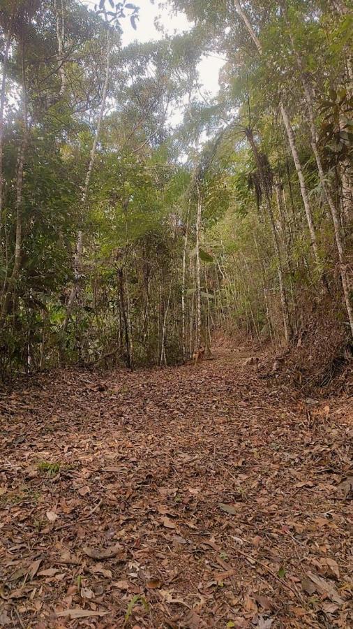 Sitio Recanto Do Ipe